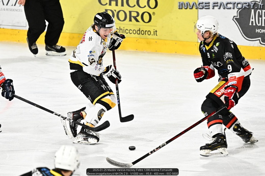 2025-01-25 Mastini Varese-Hockey Feltre 1286 Andrea Fornasetti